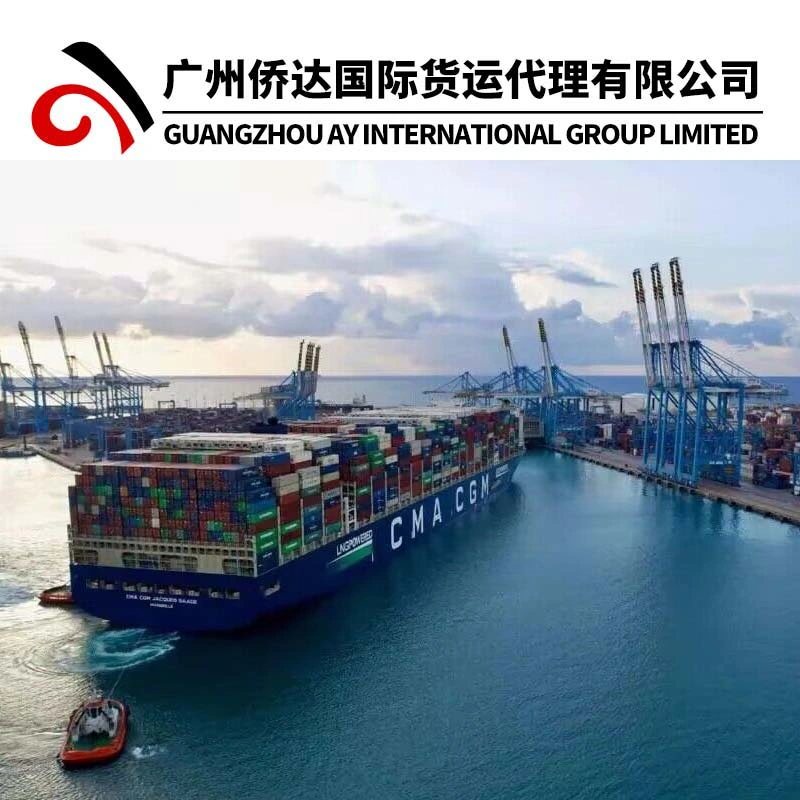 20/40FT Container Shipping From China to Solomon Islands (Honiara)