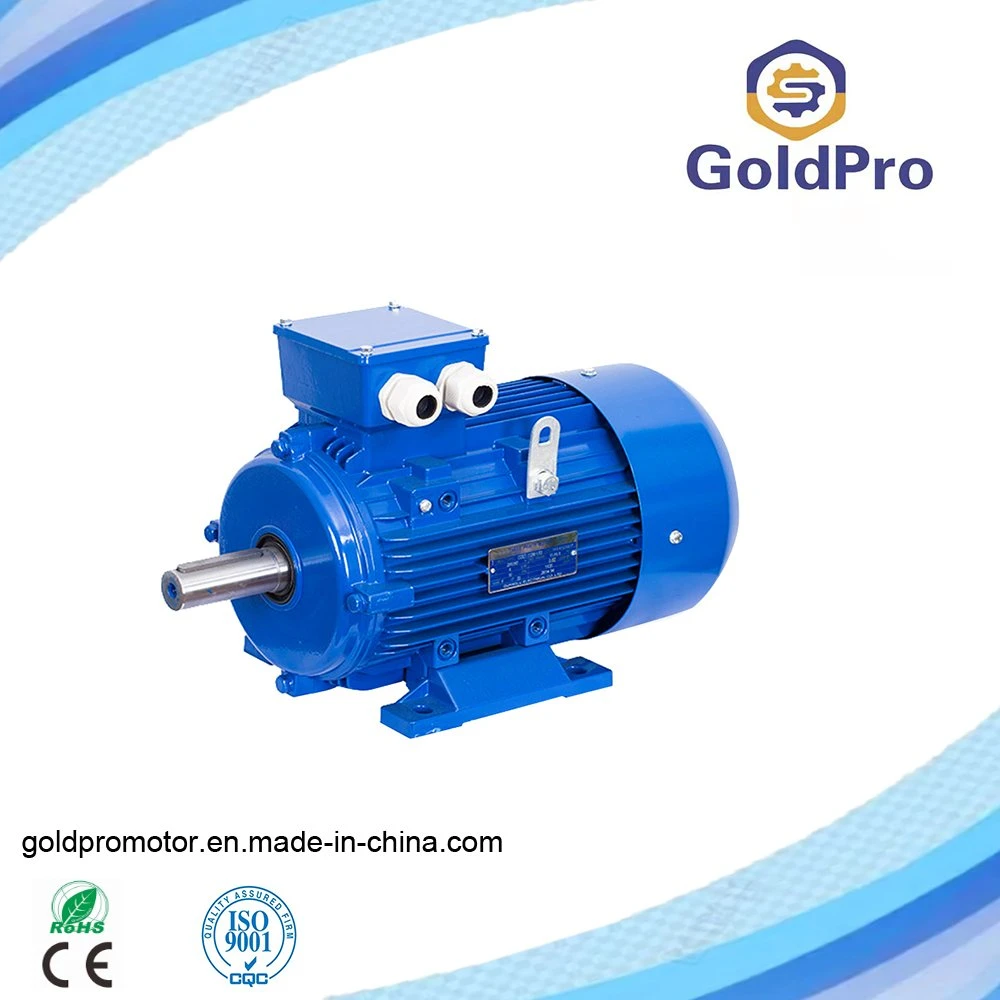 CE RoHS 220V 380V China Manufacture GOST Standard Premium Three Single Phase Induction AC Asynchronous Electrical Electric Motor