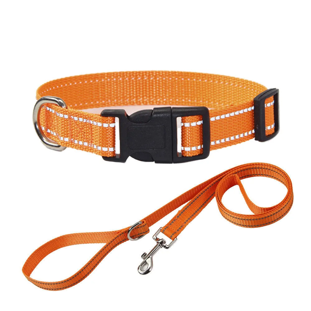 Wholesale/Supplier Comfortable Duranble Pet Dog Nylon Rope Leash