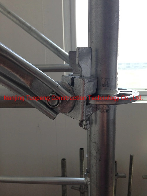Galvanized Steel System Scaffolding Ringlock Scaffold
