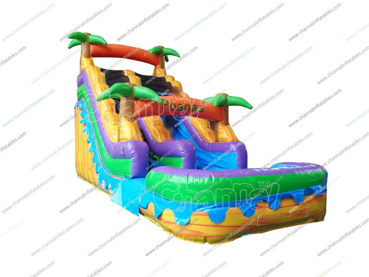 Commercial Outdoor Inflatable Tropical Water Slide Inflatable Water Slide for Sale Chsl875