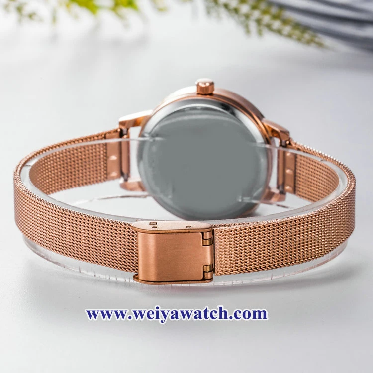 Mesh Alloy Strap Ladies Quartz Wist Watches, Lady Watch (WY-17035C)