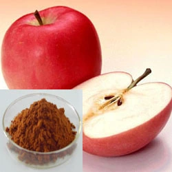 Alimentation Apple naturel extrait 10 % phlorétine/ phloridzine