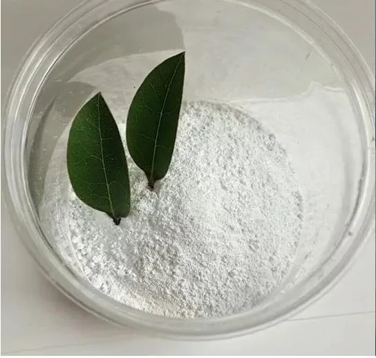 Titanium Dioxide Anatase B101 for Paint CAS 13463-67-7