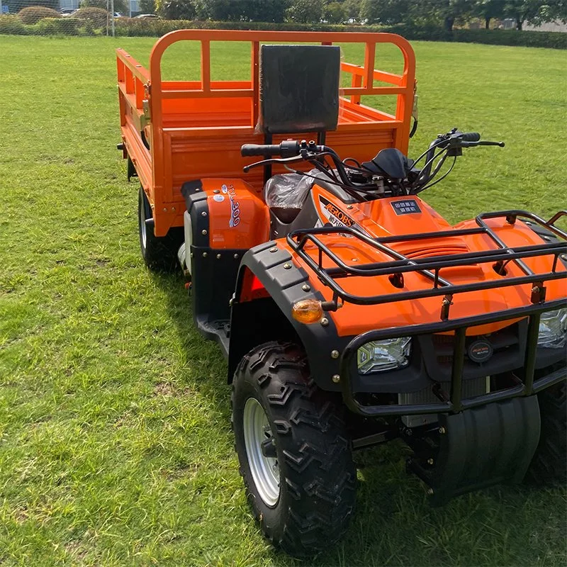 Chongqing, China Shaft Drive Side by Sides 4X2 Gasoline Youth ATV