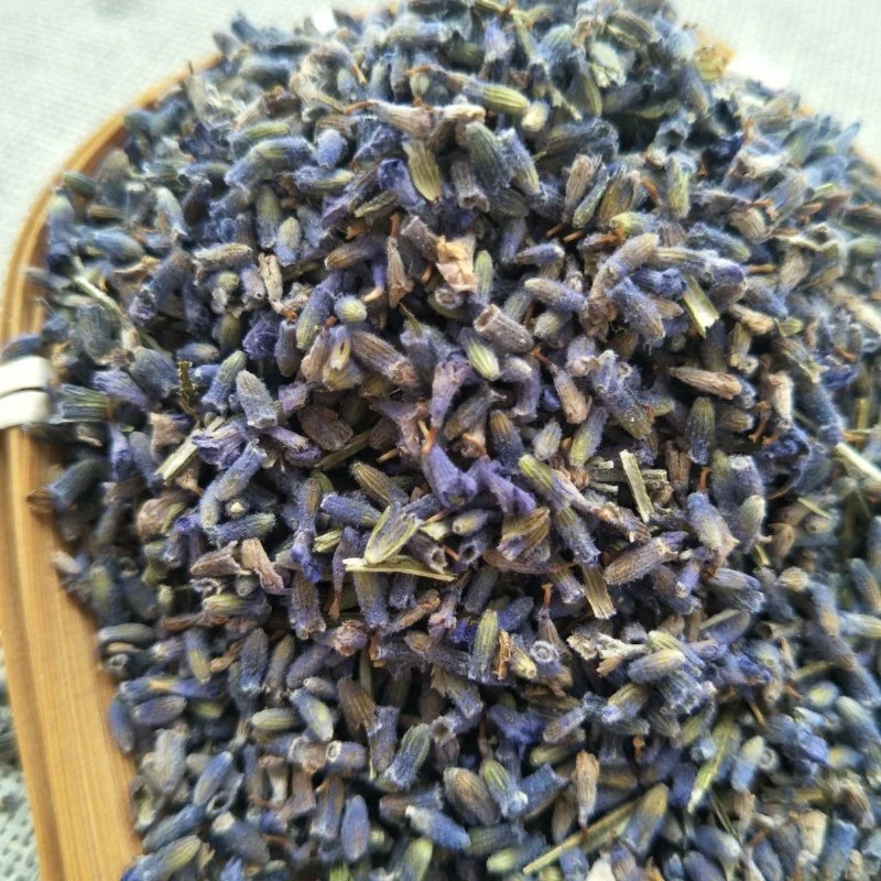 Xun Yi Cao Organic Natural dry lavender buds Dried Flowers Lavender herb Tea