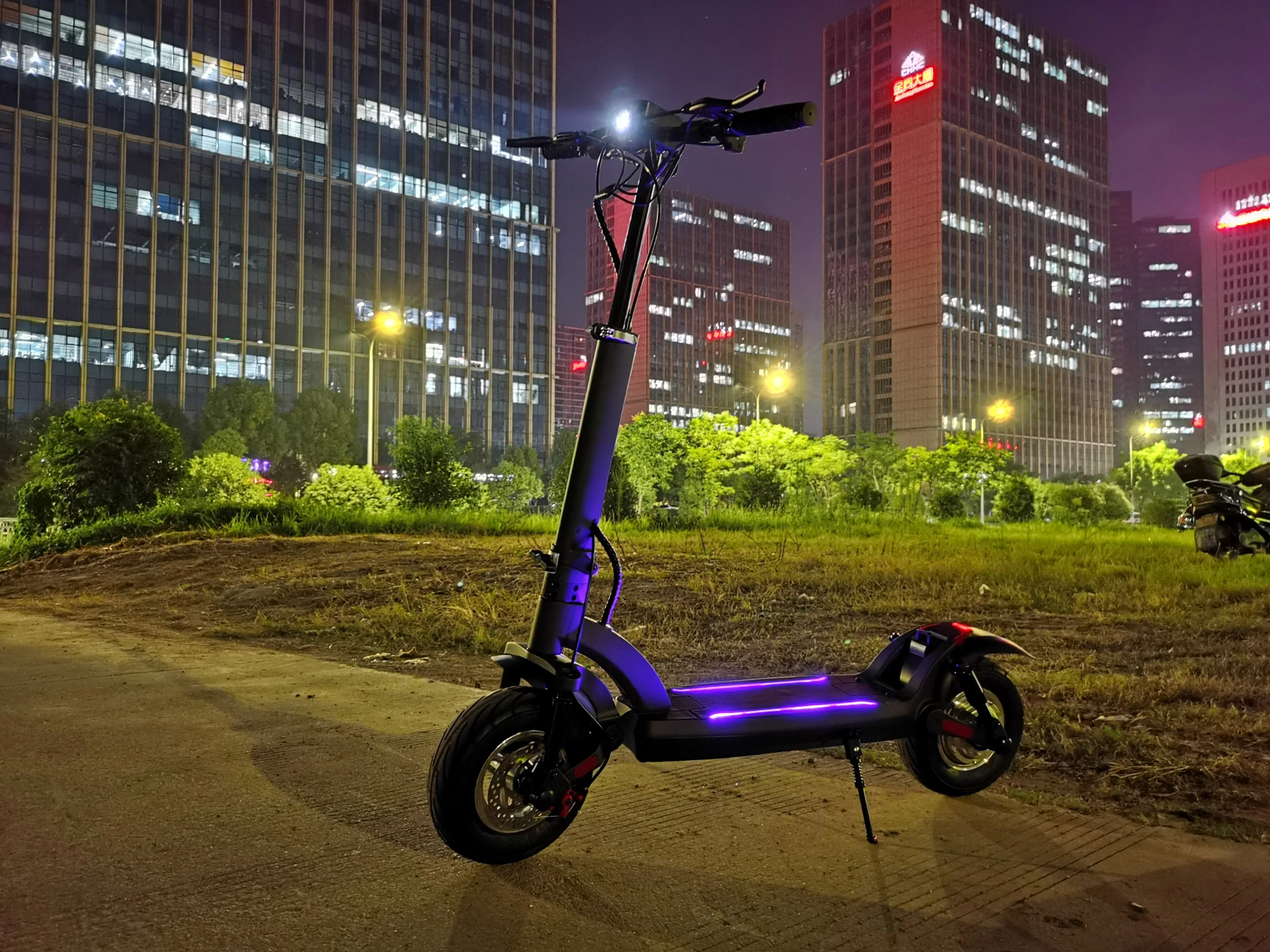 Brushless 350W 2 Wheels E Scooter Folding Adult 36V 10 Ah City Electric Scooter