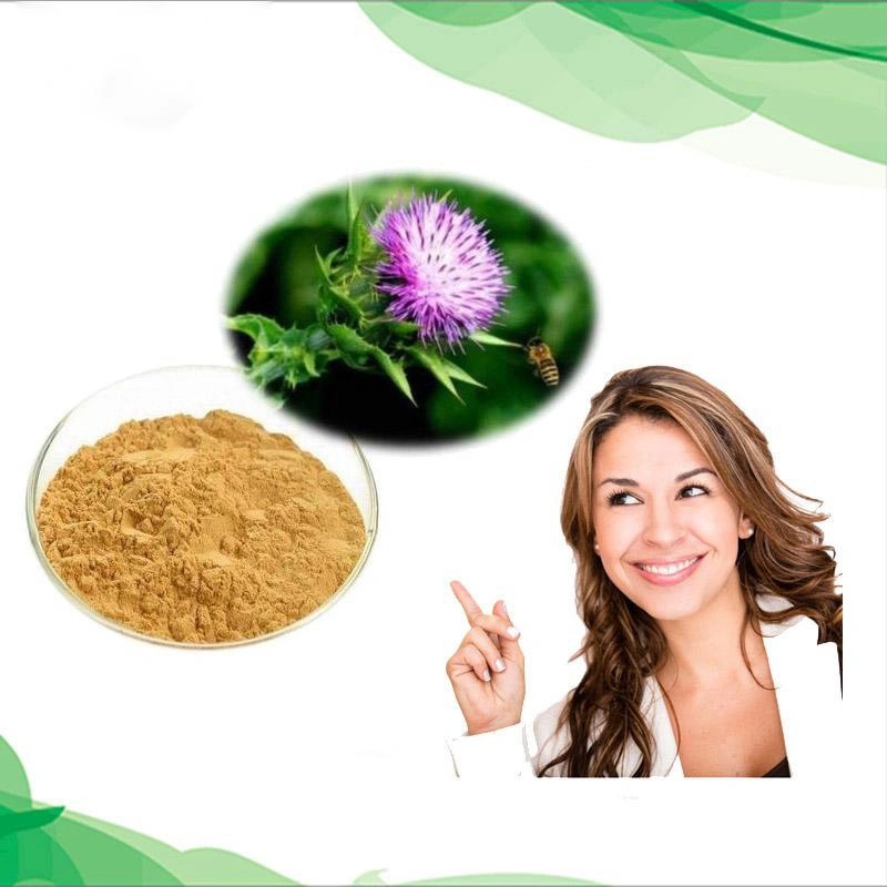 High quality/High cost performance Herbal Extract Silymarin 80% Milk Thistle Extract Milk Thistle