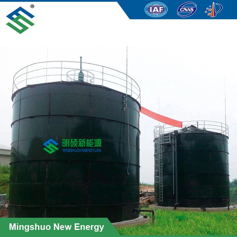 Anaerobic Digestier for Biogas Plant