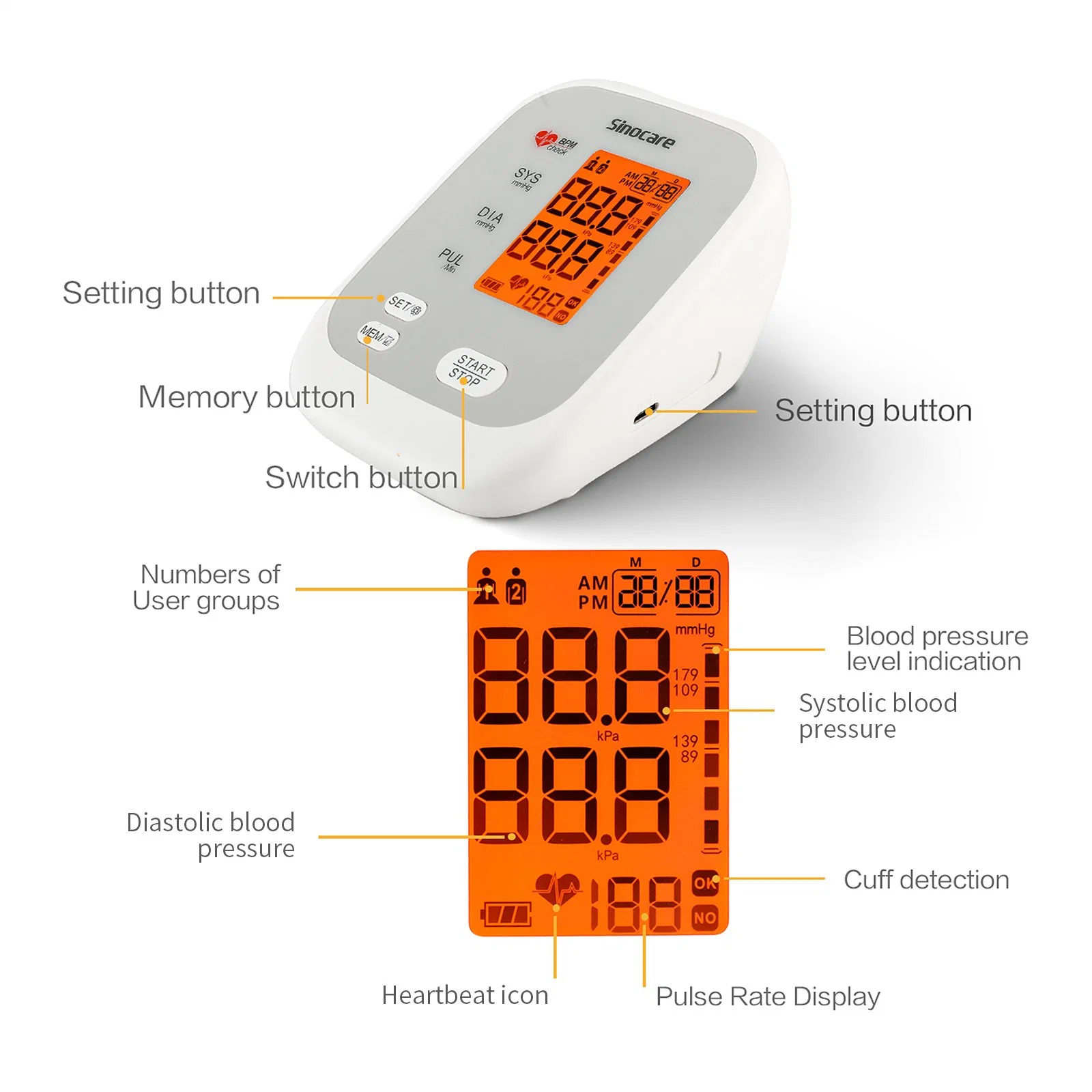 Sinocare Health Care Products OEM Digital Sphygmomanometer Medical Arm Digital 24 Hour Blood Pressure Monitor Bp Machine