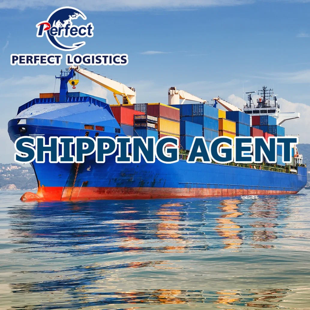 Freight Fowarder/Logistics Service From China to Estonia Shipping Agent