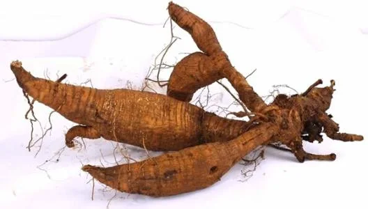 100% Fresh Radix Puerariae Lobatae /Pure Pueraria Mirifica/Super Kudzu Isoflavone