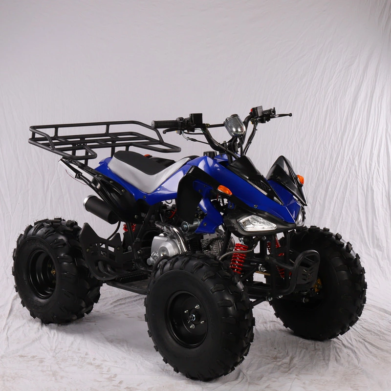 Les enfants de tous les terrains quatre roues motrices 125cc Moto Quad Bike VTT