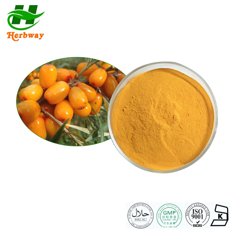 Botanical Plant Sea Buckthorn Fruit Extract Flavones Hippophae Rhamnoides Extract