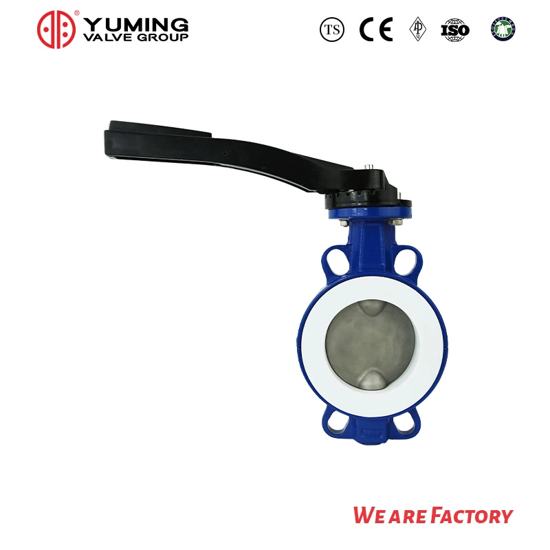 Pneumatic Butterfly Valve Soft Seal Cast Iron