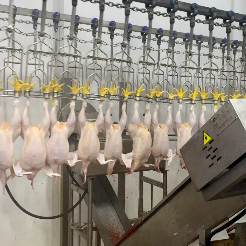 Le dépeçage de poulet poulets en abattoir de la machine machine usine de transformation de l'équipement d'abattage de poulet