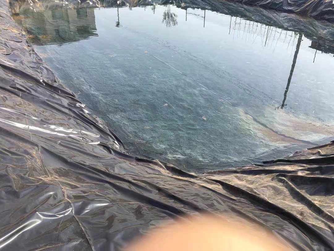 0.5mm/0.75mm/1.0mm/1.5mm/2.0mm ASTM HDPE Geomembrane for Dam/Landfill/Lake/Biogas/Mining/Fish/Shrimp Farm Pond Liner