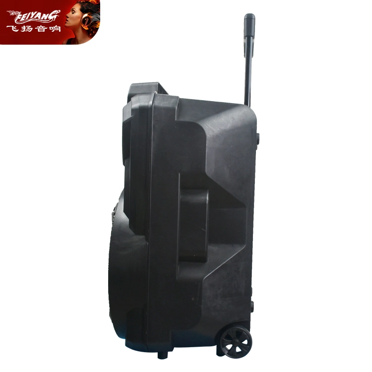 Barato Feiyang Private Mold Bluetooth DJ Outdoor PA Speaker Trolley Altifalante