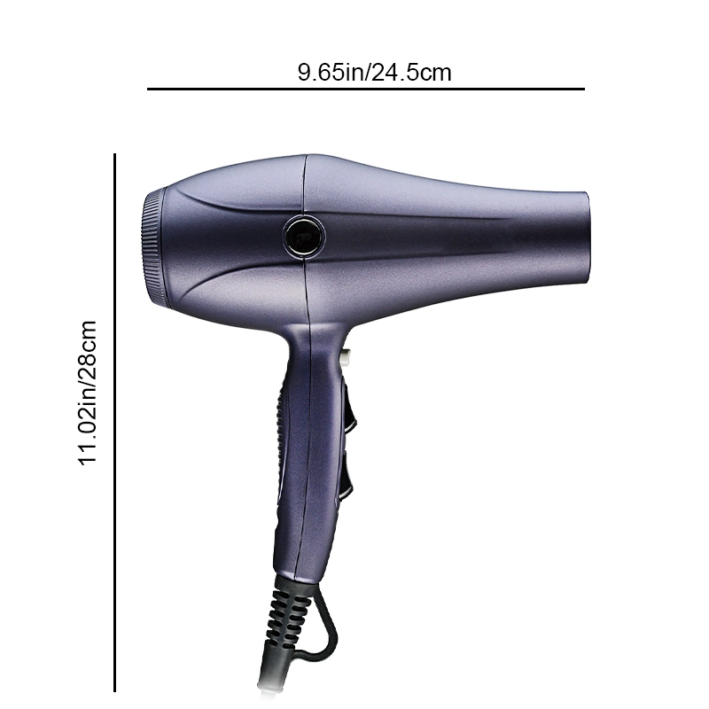 Sèche-cheveux à grande vitesse salon Ionic 2X plus rapide