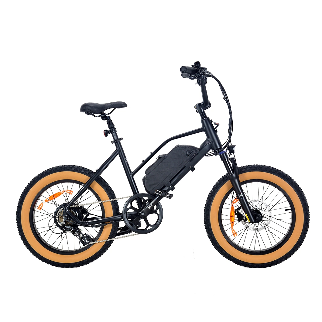 Lindo Ebike con la suspensión de la horquilla delantera 500W 350W motorizado sin escobillas Bicicleta eléctrica