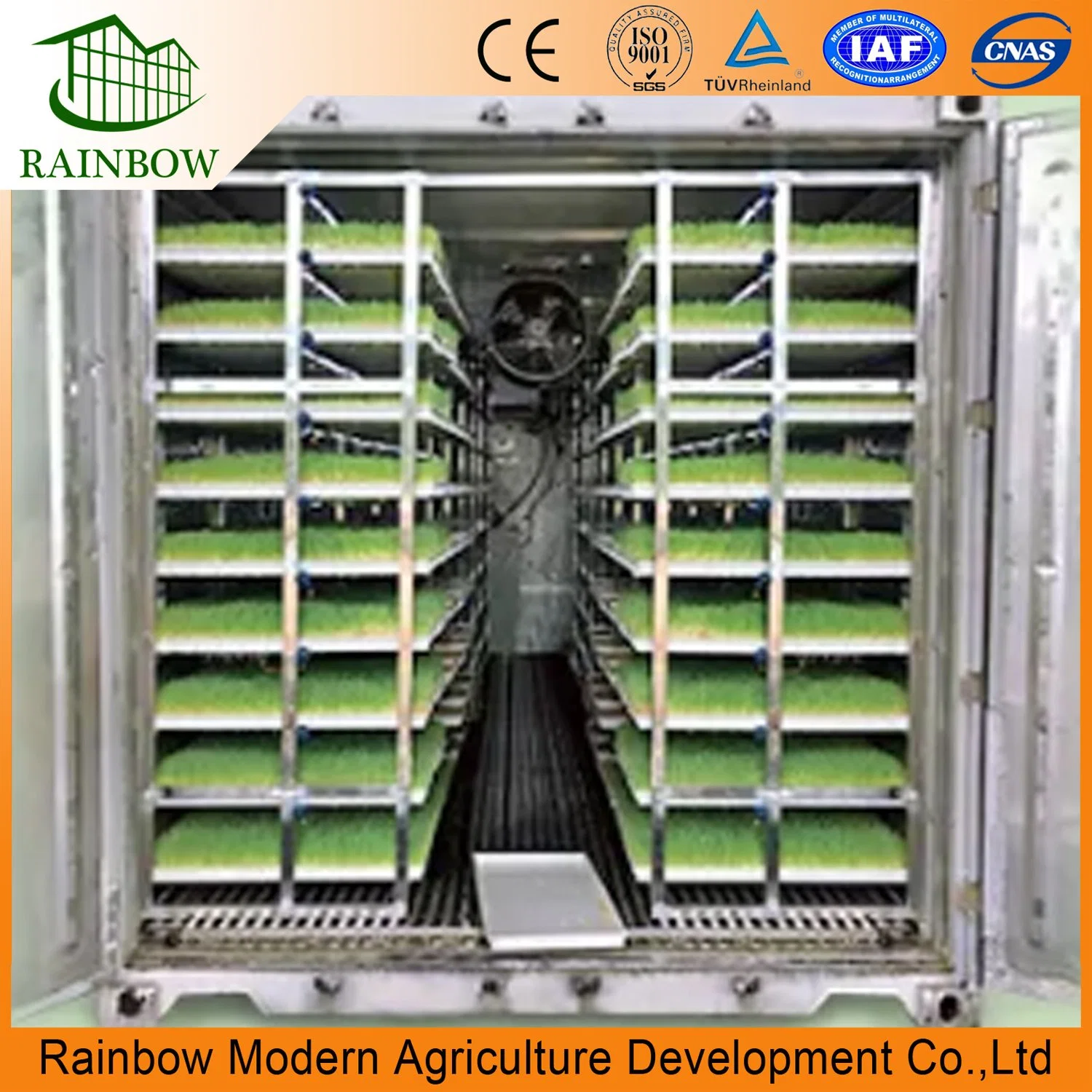 Automatic Hydroponics Fodder Machine Hydroponic Green Forage Sprouted Barley Fodder System