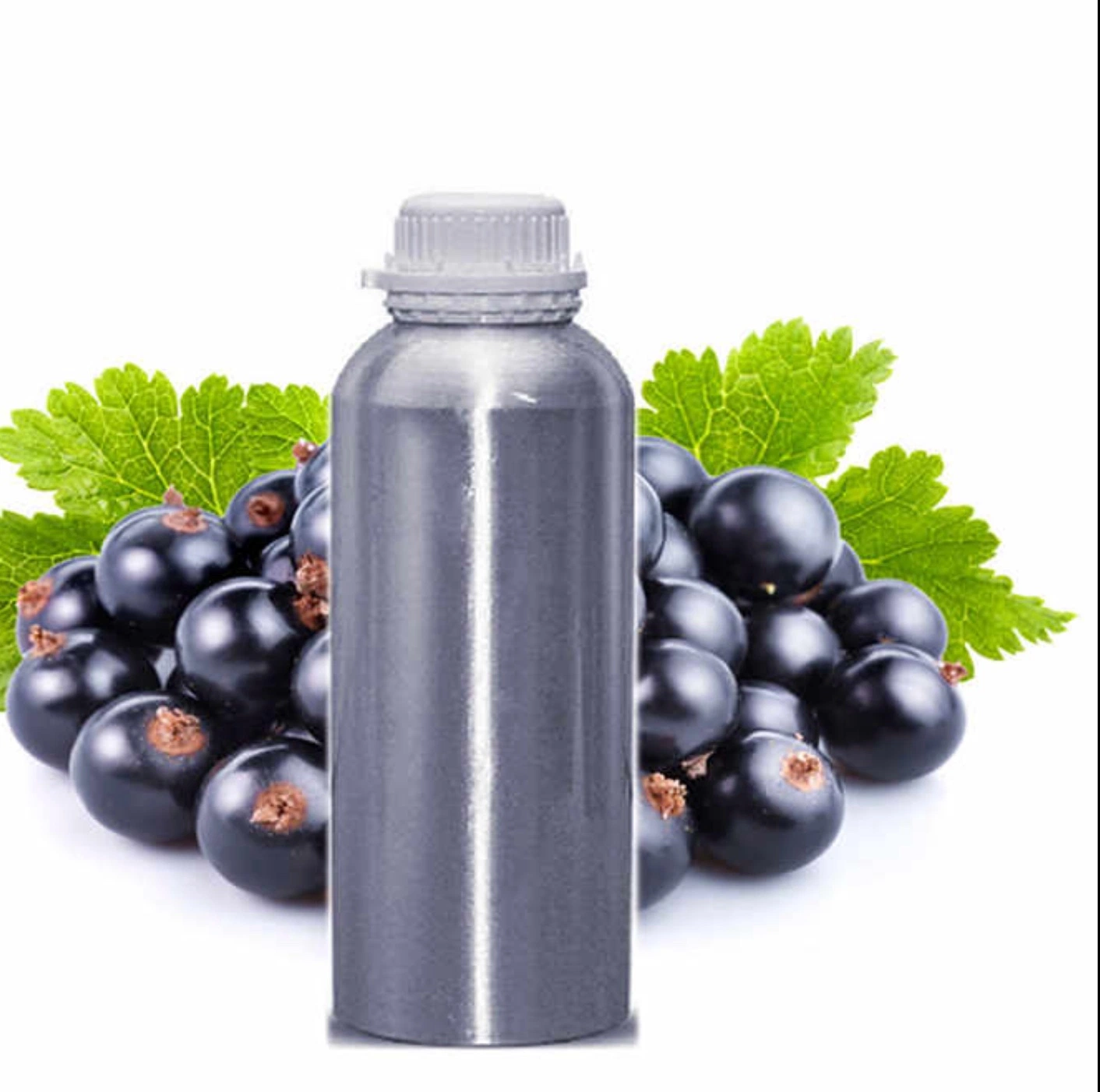 Top Grade Undiluted 100% Pure Plant Organic Bulk OEM/ODM Blackcurrant Seed Oil