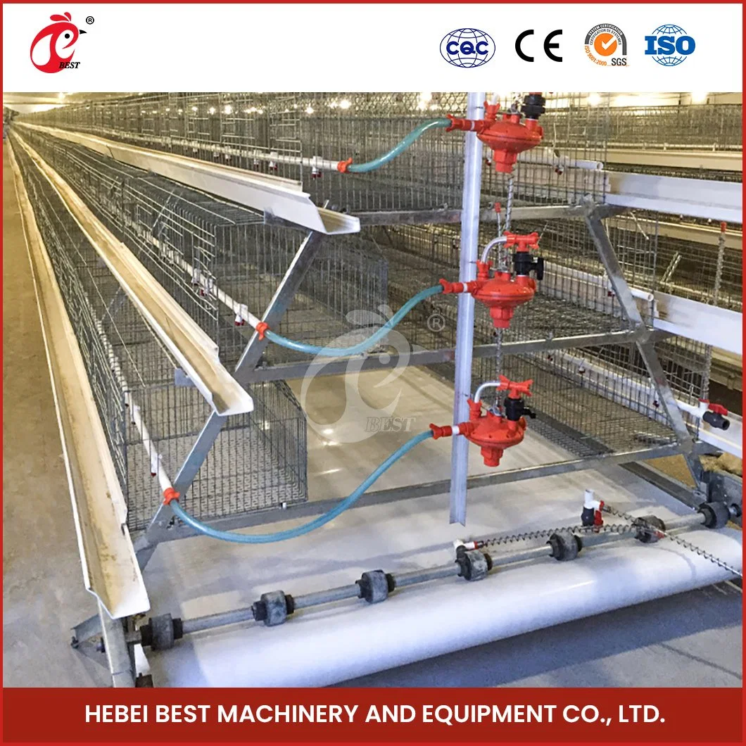 Bestchickencage China Battery Cage for Chicken Manufacturing a Frame Automatic Broiler Cages OEM Customized Save Space Durable Large Chicken Cage