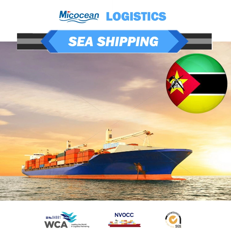 Professional Safe and Best Air Shipping/Sea Freight Forwarder From China to Mozambique