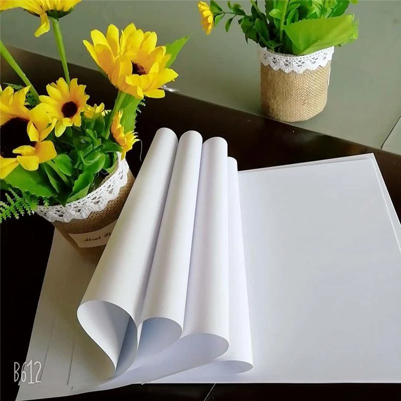 Chenming 70/80GSM Woodfree Offset Printing Paper for Writing