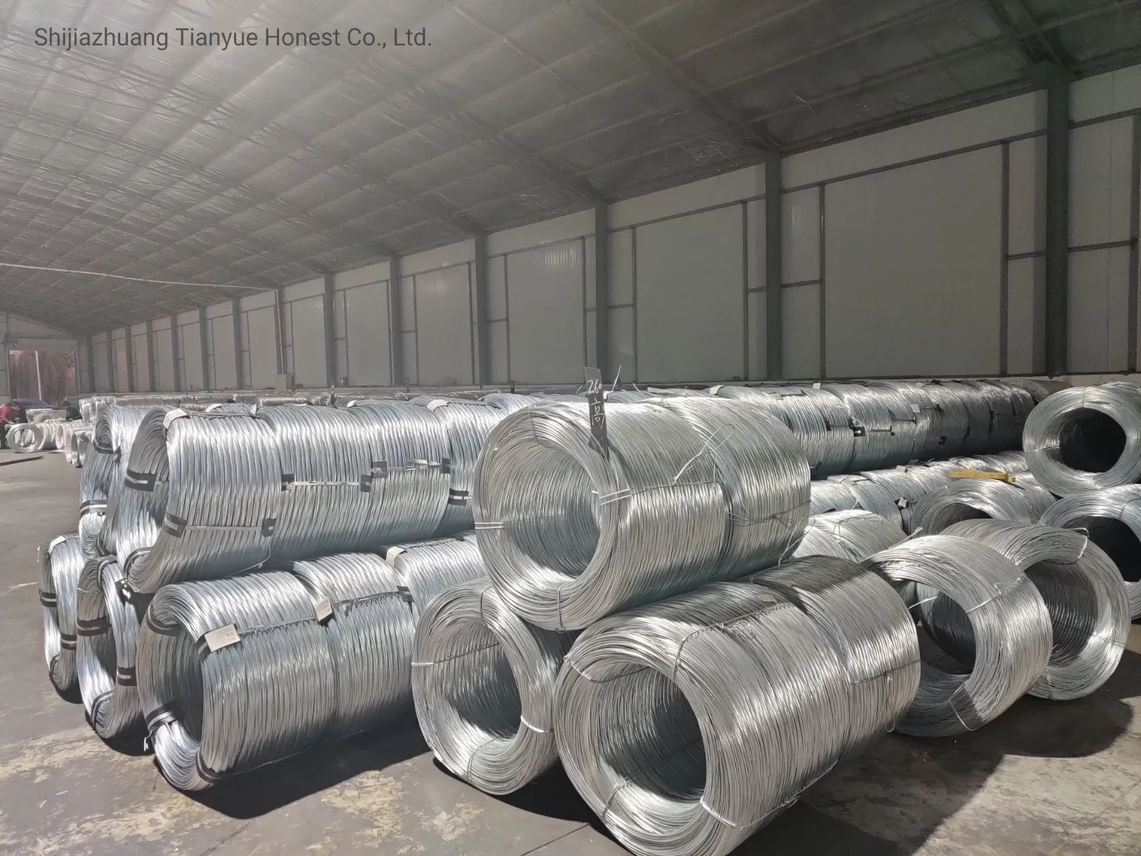 Hot Dipped/Electric Galvanized Mild Steel Binding Wire/Low Carbon Wire