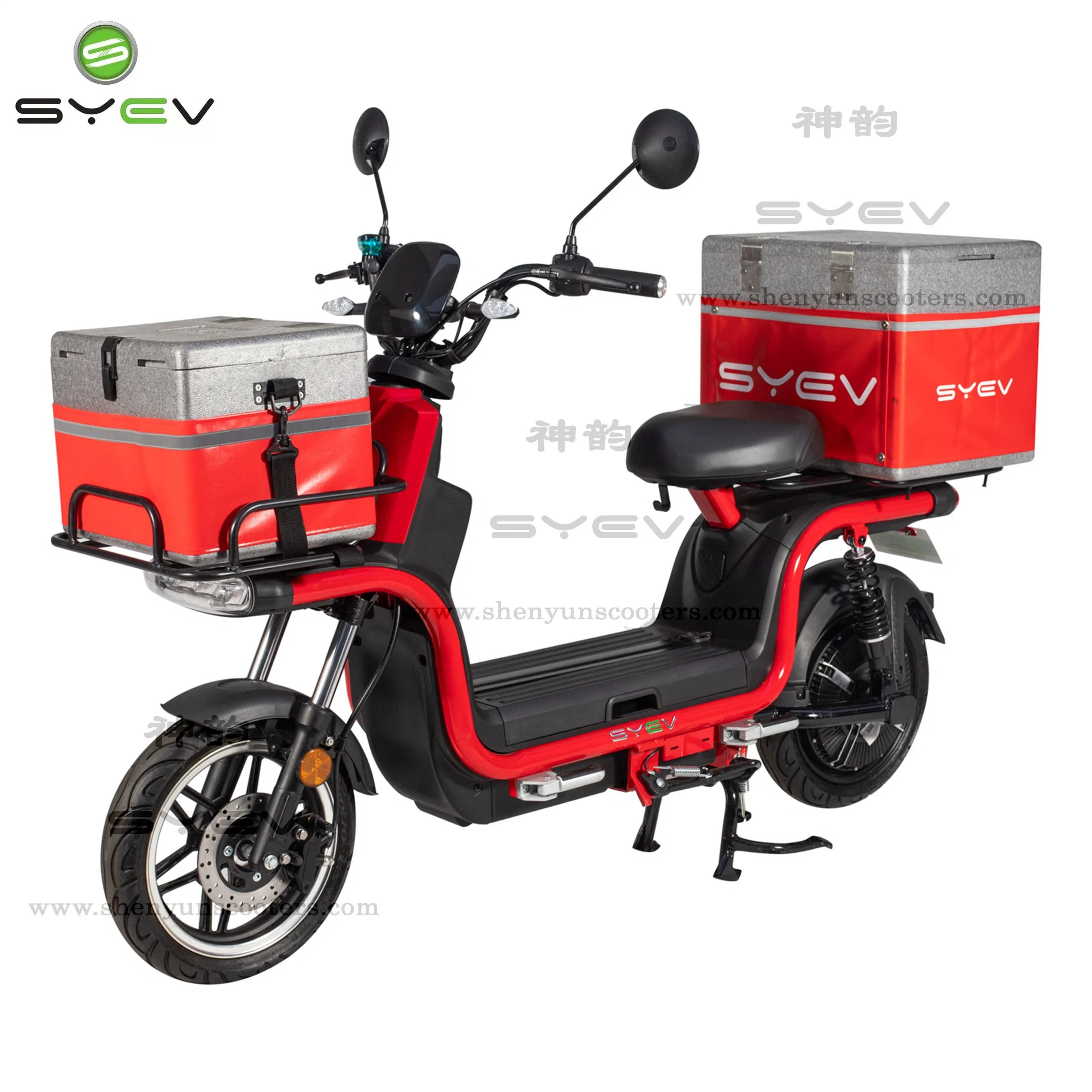 EEC/Coc Economic and Practical 1200W Electric Bike with 60V Environmental Lithium Battery