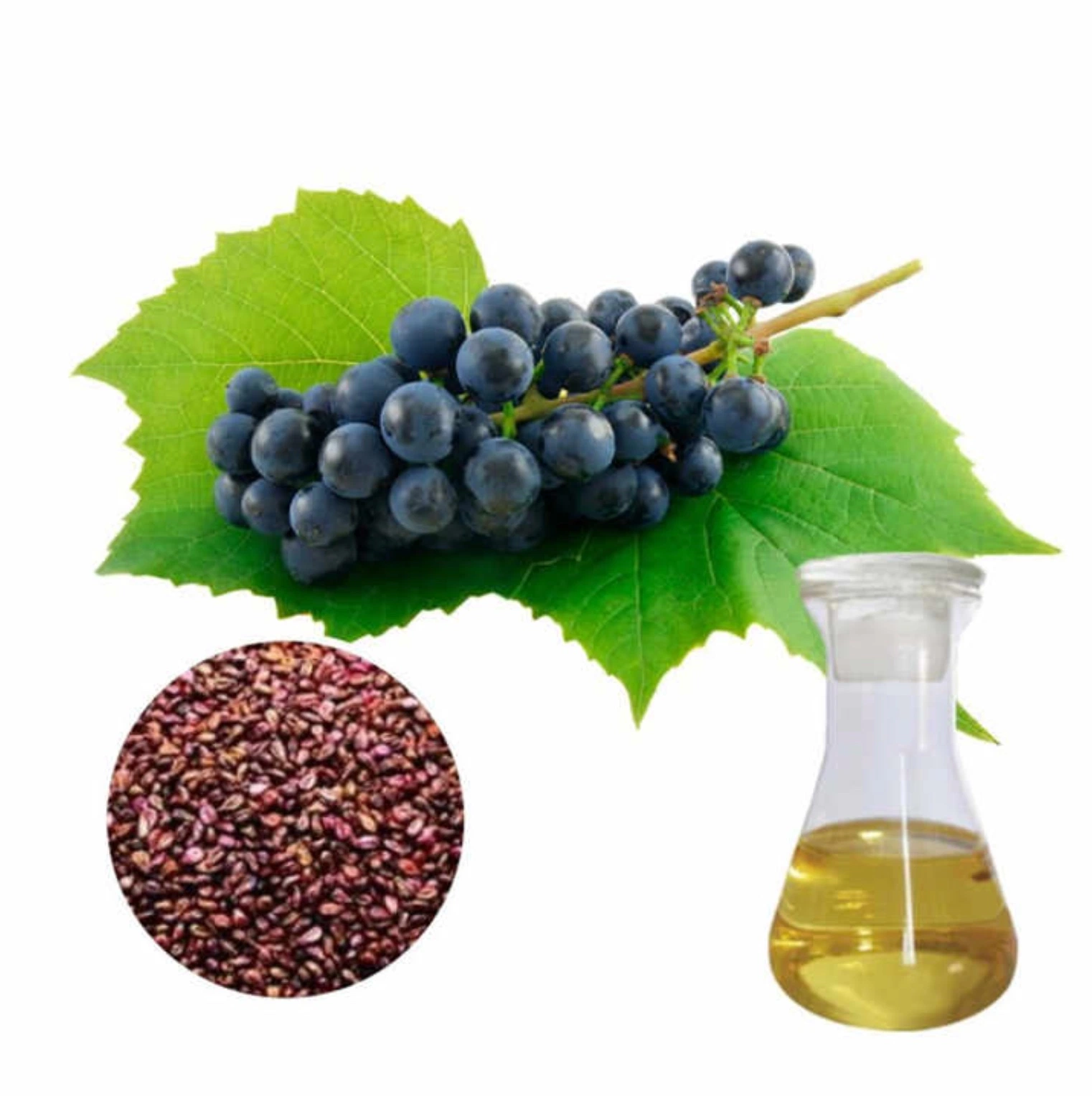 Organic Blackcurrant Seed Cold Pressed Carrier Oil