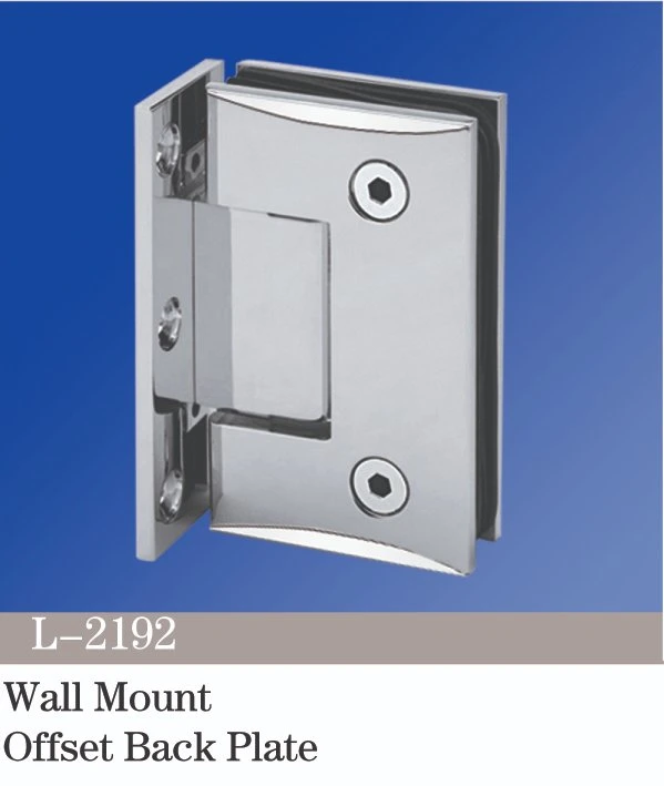 Loire Standard Duty Wall Mount with Offset Back Plate Aluminum Brass Stainless Steel Glass Shower Door Pivot Hinge Hardware with Spring Function