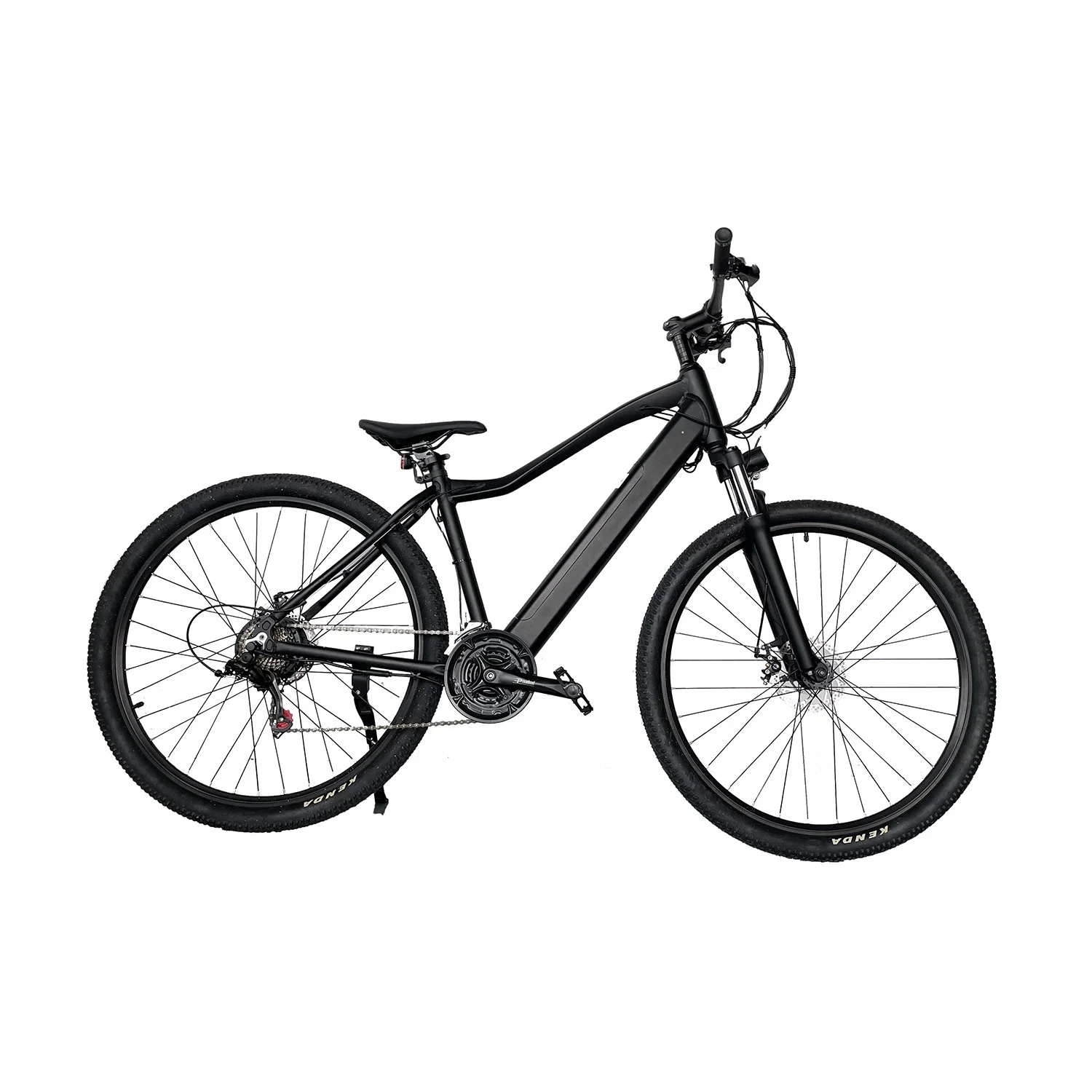 Chanson /29*2.125 350W 500W Electric Mountain E Bike/Snow Bike/Electric Bicycle with CE