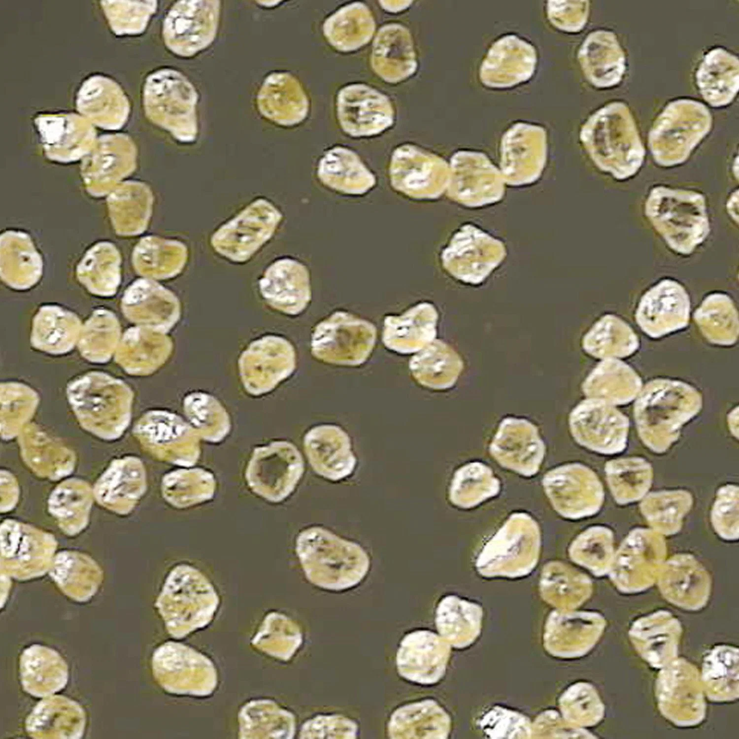 Coatings Use Reshaped Diamond Powder