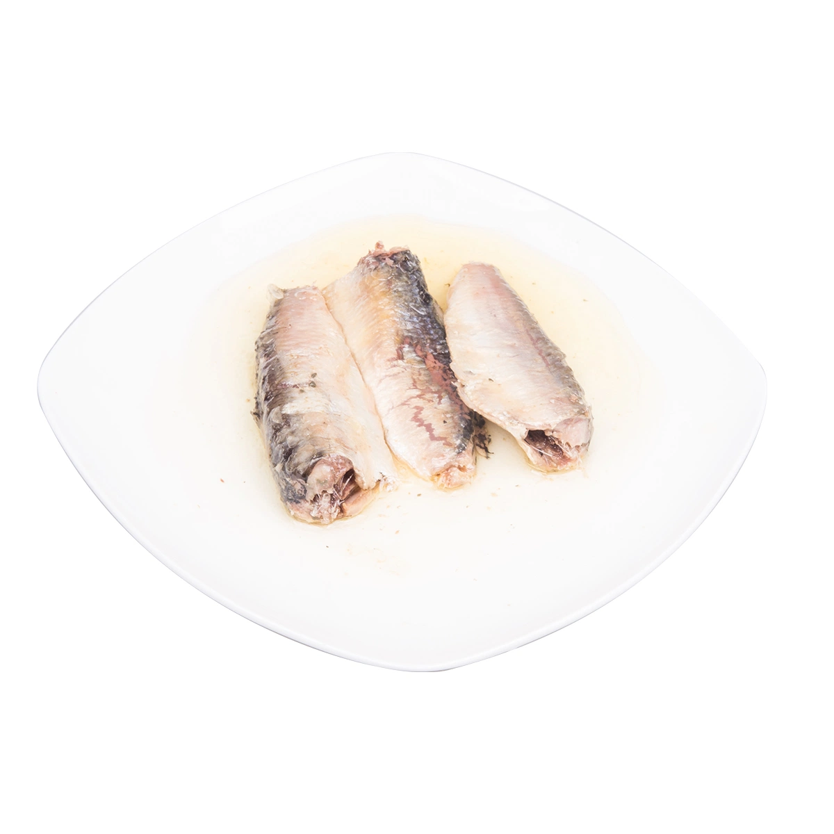 Canned Sardine Pilchard in Oil Supplier