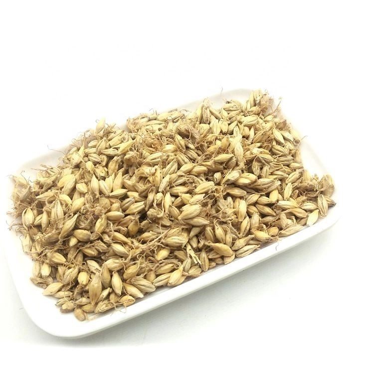 Bulk Supply Malt Mai Ya Lose Weight Tea Fructus Hordei Germinatus