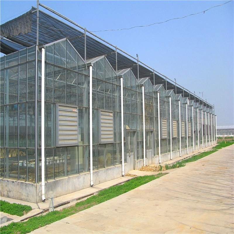 Estufa de vidro com estrutura de aço galvanizado para agricultura com sistema de aquecimento para Hidroponia / Strawberry / legumes / flores