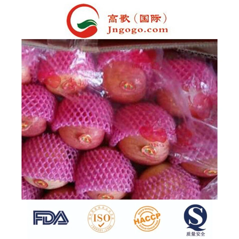 High quality/High cost performance  for Exporting Fresh Chinese FUJI Apple