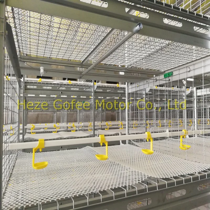 H Type Broiler Duck Feeding Automatic Equipment Chicken Layer Feeding Cages 4 Tiers