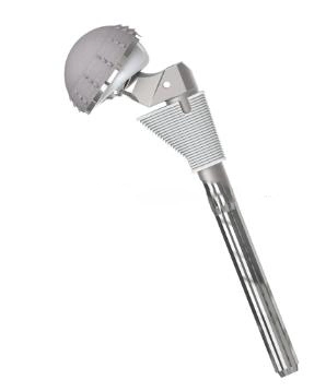 Hip Prosthesis Femoral Stem Titanium Alloy Implant