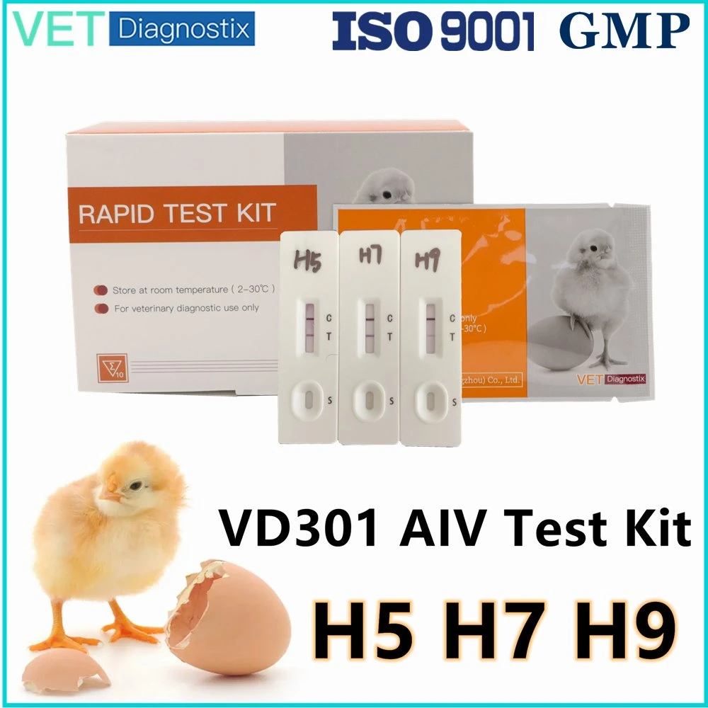 Prueba rápida de AIV veterinaria antígeno del virus de la gripe aviar AIV rápido Prueba de diagnóstico