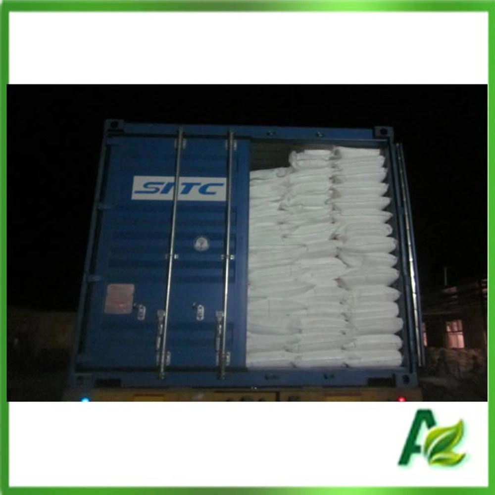 Food Grade Preservative Sodium Benzoate Powder Made in China