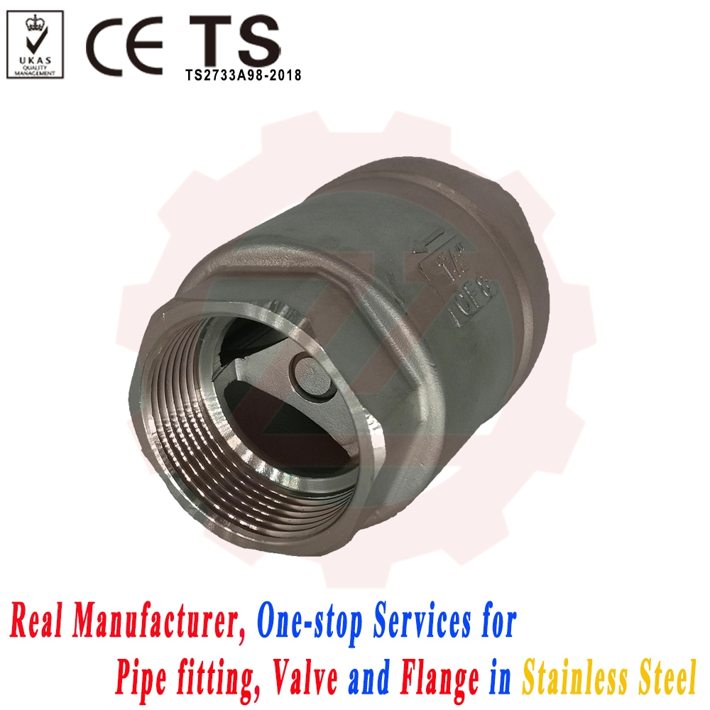 DN65 Stainless Steel Thread Lift Check Valve for Sump Pump