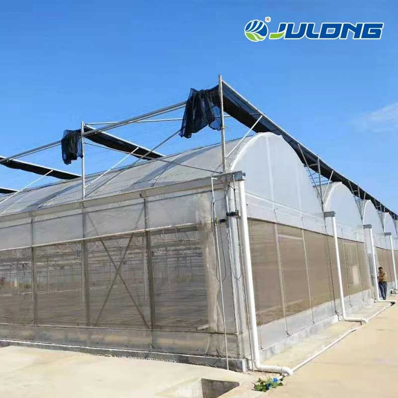 Poly Tunnel Greenhouse Plastic Film Farming Vegetables Tomato Strawberry Multi Span Agricultural Green House for Sale