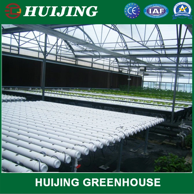 Hot Sale Nft Hydroponics System for Greenhouse