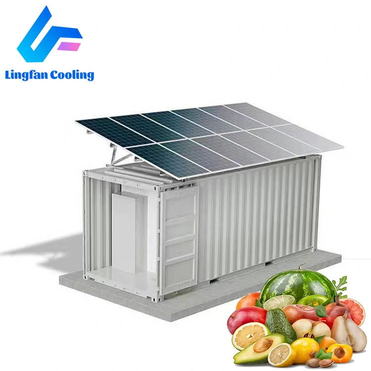 Armazenamento de carne e legumes caminhada em congelador Solar Powered Cold Quarto