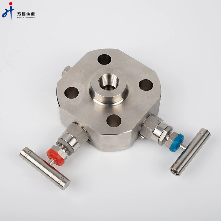 Hongji Needle Valve with Flange 6000psi Forged Stainless Steel 316 Needle Valve