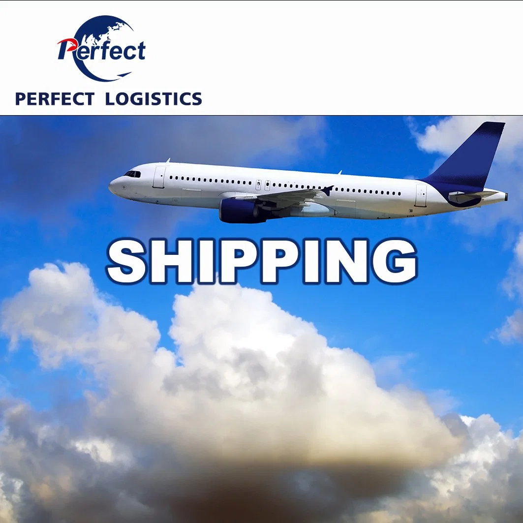 Door to Door Shipping Company Air Fright Shipping to Sweden with Customs Clearance