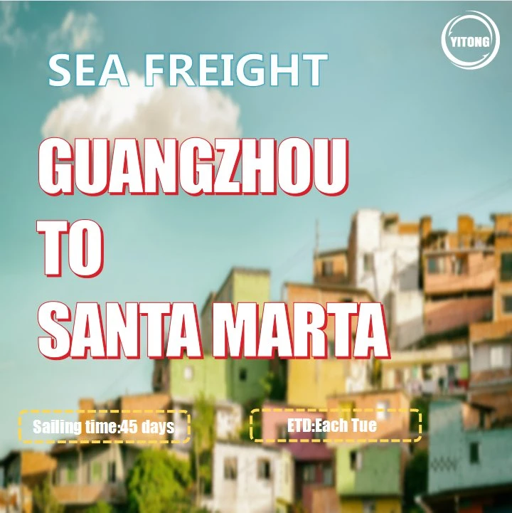 Fob Qingdao Shipping to Santa Marta Colombia